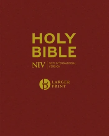 Niv Larger Print Burgundy Bible - Hardback  - 9781473651562
