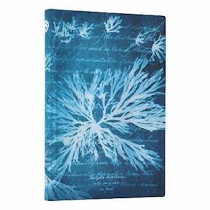Amp Sea Flowers Anna Atkins Cyanotypes Mini Lined Softcover Journal Elastic Band Closureamp Paperblanks Bog - Paperblanks Hardback  - 9780349713694