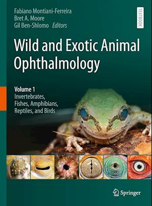 Amp Wild And Exotic Animal Ophthalmologyamp Bog - N/a Hardback  - 9783030812720